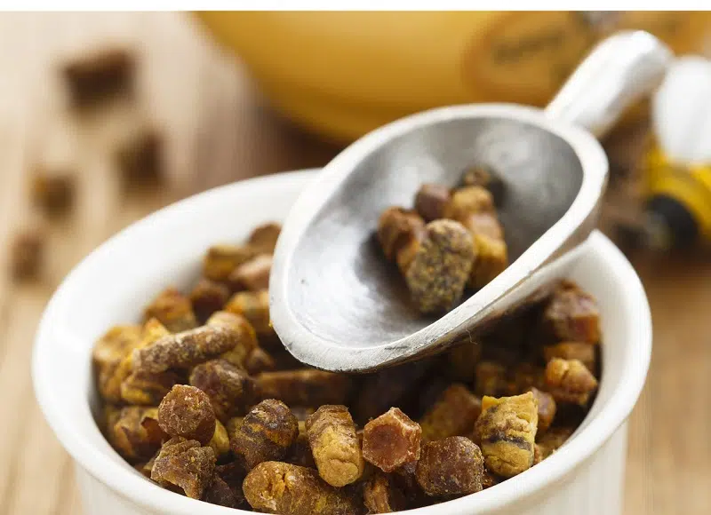 Quels sont les bienfaits du pain d’abeille